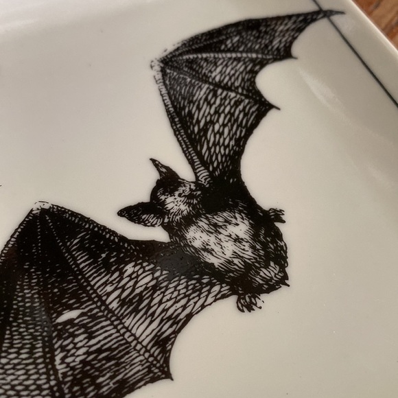 Pottery Barn Rare Terrifying Ace Playing Cards with Spooky Image Plates 🦉💀🕷🦇 - Picture 14 of 16